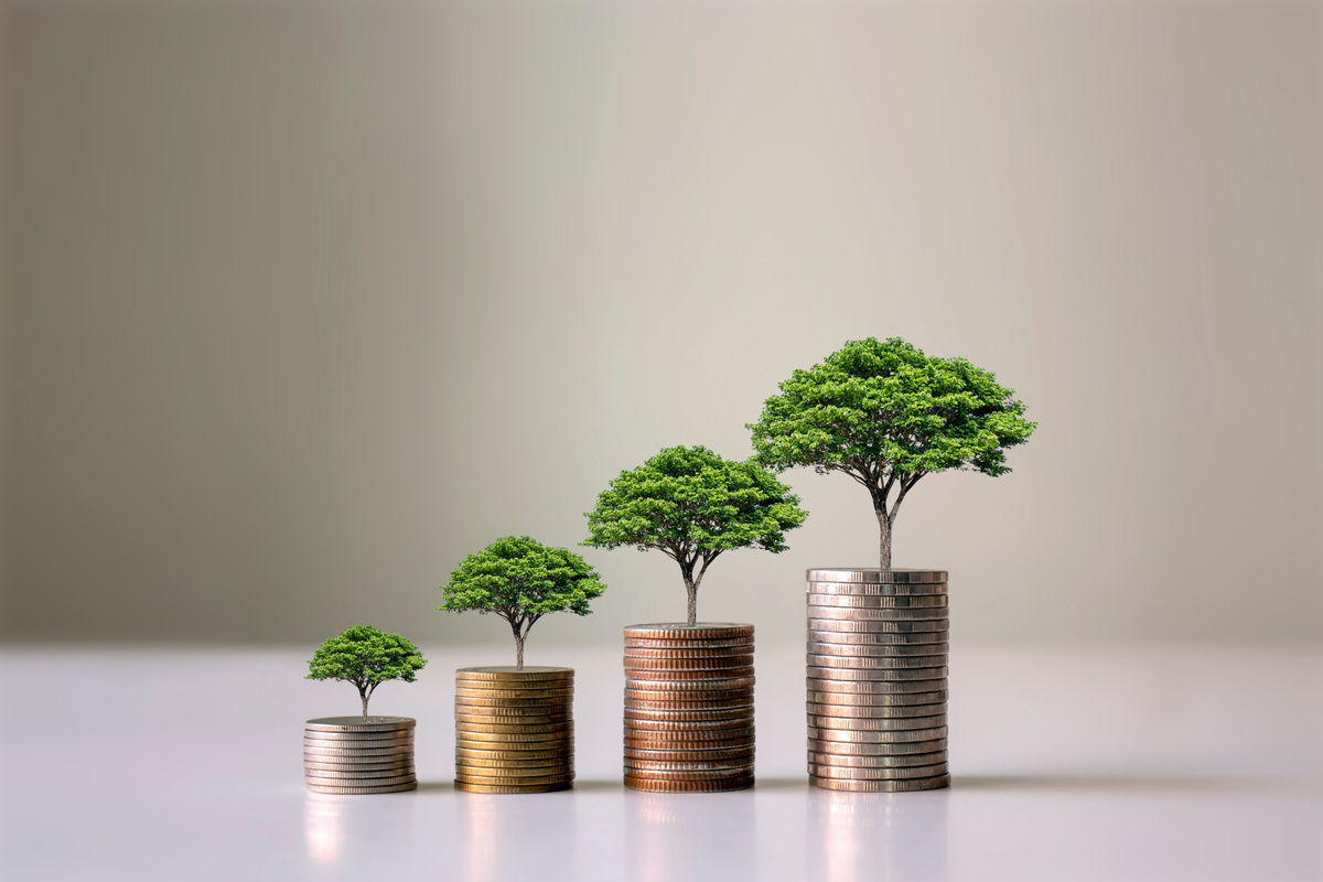 Growing Sustainable Investment Concept